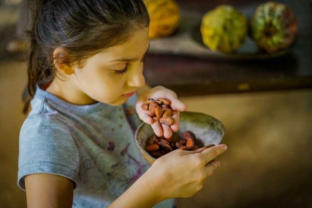 Little girl smelling cocoa beans on Chocolate Tour